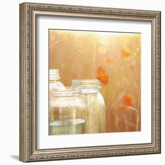 Butterfly Perch-Mandy Lynne-Framed Art Print