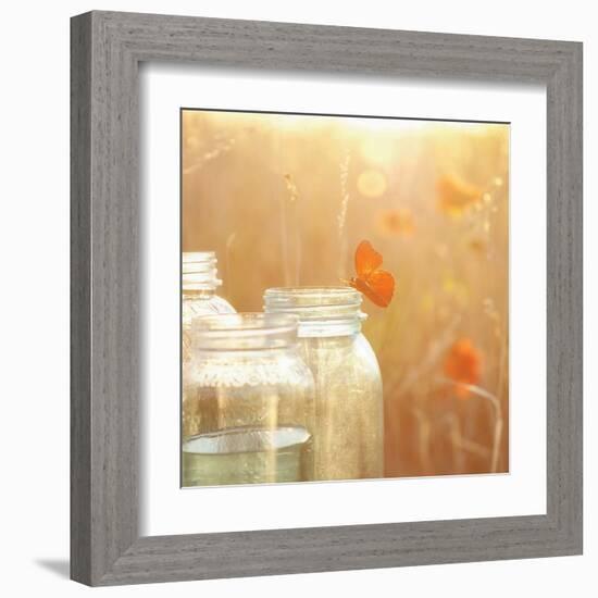 Butterfly Perch-Mandy Lynne-Framed Art Print