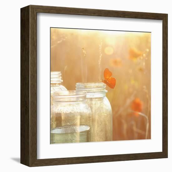 Butterfly Perch-Mandy Lynne-Framed Art Print