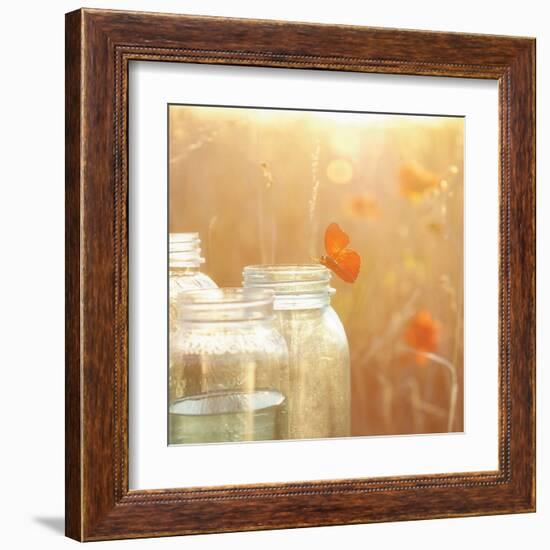 Butterfly Perch-Mandy Lynne-Framed Art Print