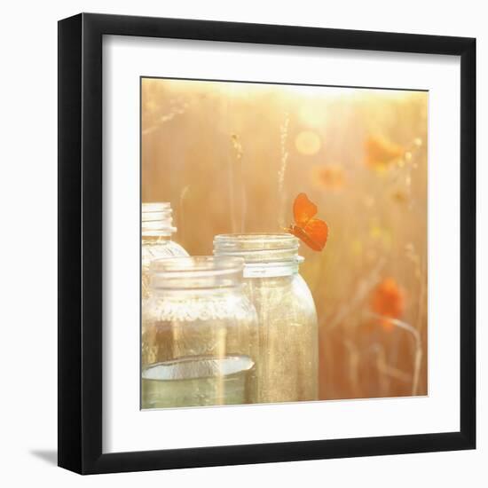 Butterfly Perch-Mandy Lynne-Framed Art Print