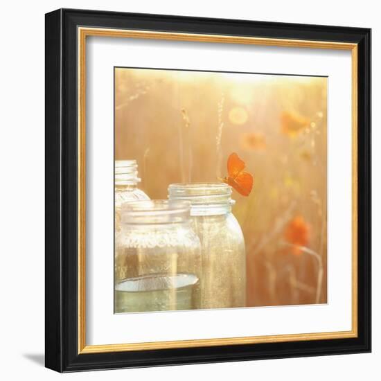 Butterfly Perch-Mandy Lynne-Framed Art Print