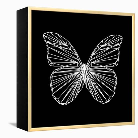 Butterfly Polygon-Lisa Kroll-Framed Stretched Canvas