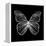 Butterfly Polygon-Lisa Kroll-Framed Stretched Canvas