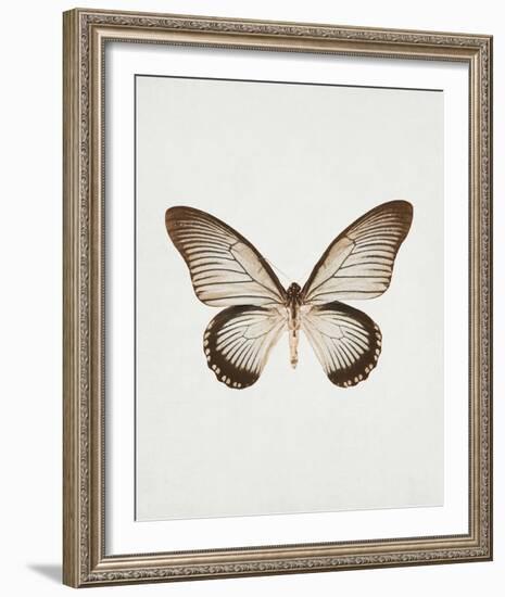 Butterfly Press-Irene Suchocki-Framed Giclee Print