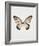 Butterfly Press-Irene Suchocki-Framed Giclee Print