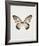 Butterfly Press-Irene Suchocki-Framed Giclee Print