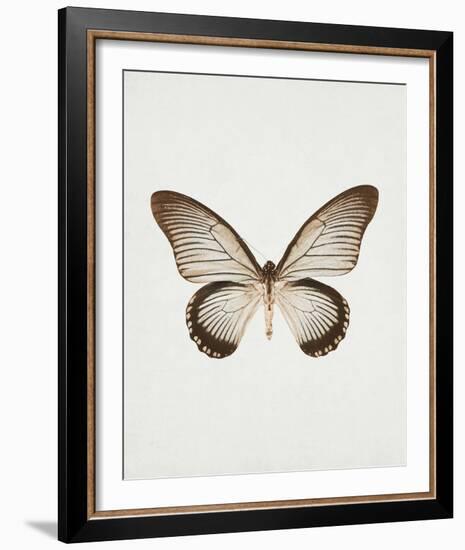 Butterfly Press-Irene Suchocki-Framed Giclee Print