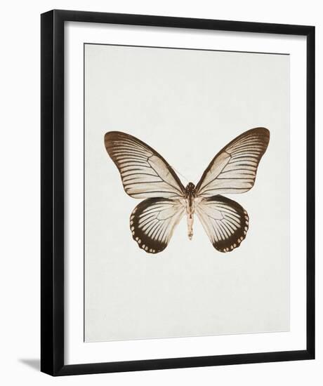 Butterfly Press-Irene Suchocki-Framed Giclee Print