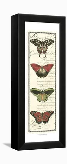 Butterfly Prose Panel I-null-Framed Stretched Canvas