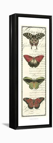 Butterfly Prose Panel I-null-Framed Stretched Canvas