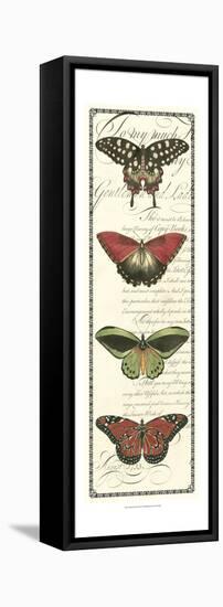 Butterfly Prose Panel I-null-Framed Stretched Canvas