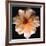 Butterfly Rose-Richard Reynolds-Framed Art Print