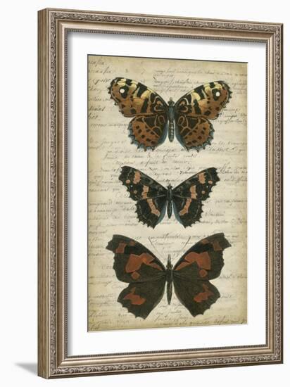 Butterfly Script II-Vision Studio-Framed Art Print