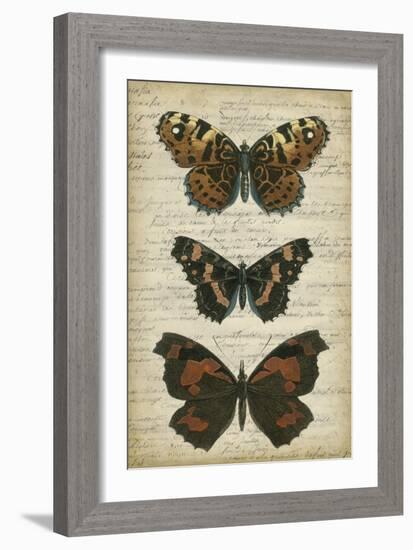 Butterfly Script II-Vision Studio-Framed Art Print