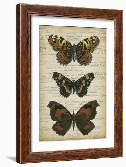 Butterfly Script II-Vision Studio-Framed Art Print