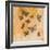 Butterfly Silhouettes II-Silvia Vassileva-Framed Art Print