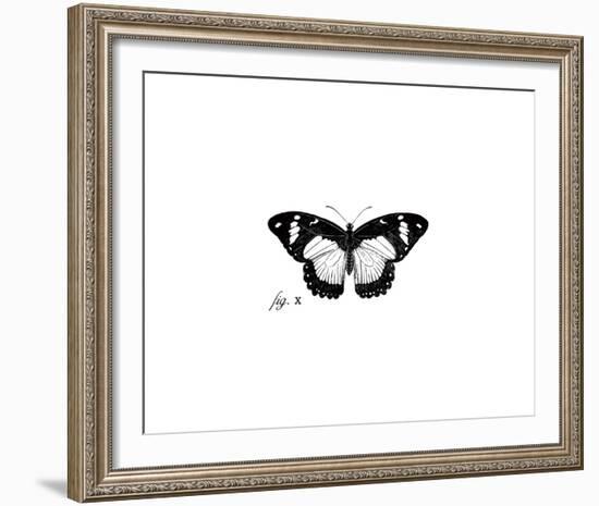 Butterfly Sketch-The Chelsea Collection-Framed Giclee Print