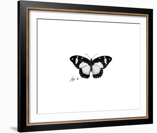 Butterfly Sketch-The Chelsea Collection-Framed Giclee Print