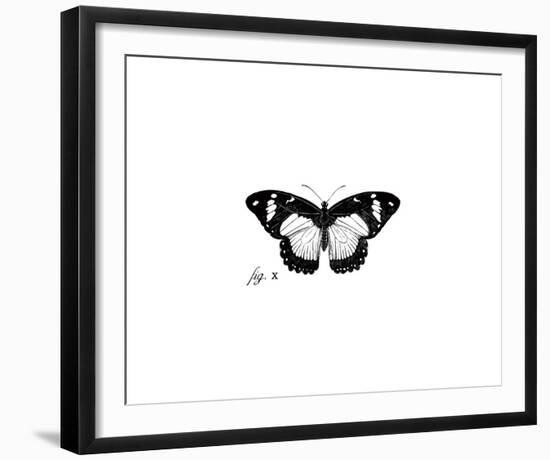 Butterfly Sketch-The Chelsea Collection-Framed Giclee Print