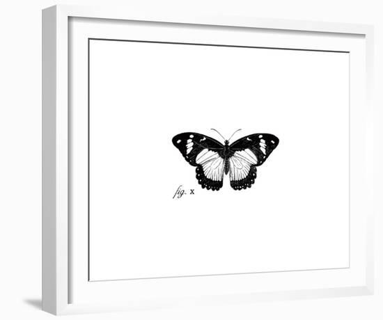 Butterfly Sketch-The Chelsea Collection-Framed Giclee Print