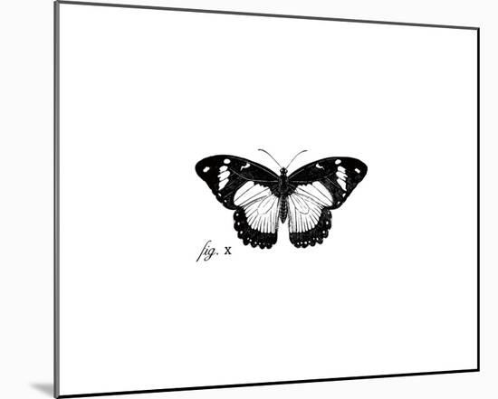 Butterfly Sketch-The Chelsea Collection-Mounted Giclee Print
