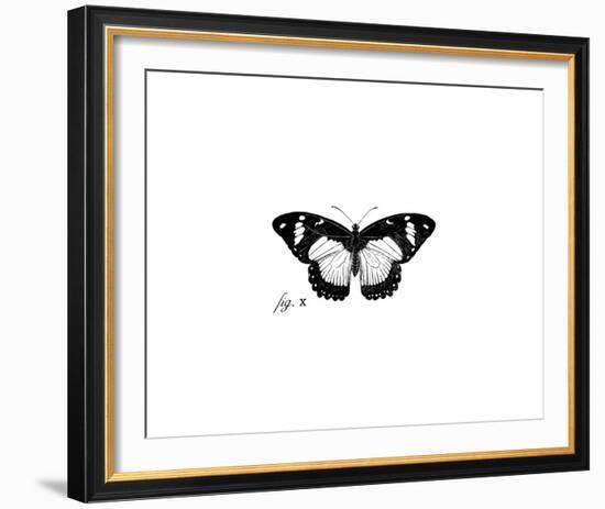 Butterfly Sketch-The Chelsea Collection-Framed Giclee Print