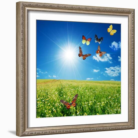 Butterfly Spring Field. A Group O Colorful Butterflies In The Spring Summer Grass Land-Michal Bednarek-Framed Photographic Print