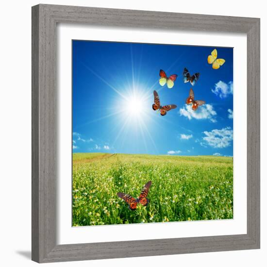 Butterfly Spring Field. A Group O Colorful Butterflies In The Spring Summer Grass Land-Michal Bednarek-Framed Photographic Print