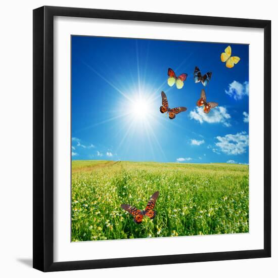 Butterfly Spring Field. A Group O Colorful Butterflies In The Spring Summer Grass Land-Michal Bednarek-Framed Photographic Print