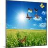 Butterfly Spring Field. A Group O Colorful Butterflies In The Spring Summer Grass Land-Michal Bednarek-Mounted Photographic Print