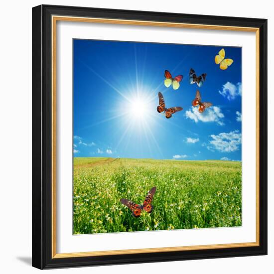 Butterfly Spring Field. A Group O Colorful Butterflies In The Spring Summer Grass Land-Michal Bednarek-Framed Photographic Print