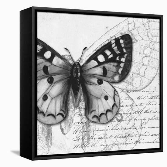 Butterfly Studies I-Patricia Pinto-Framed Stretched Canvas
