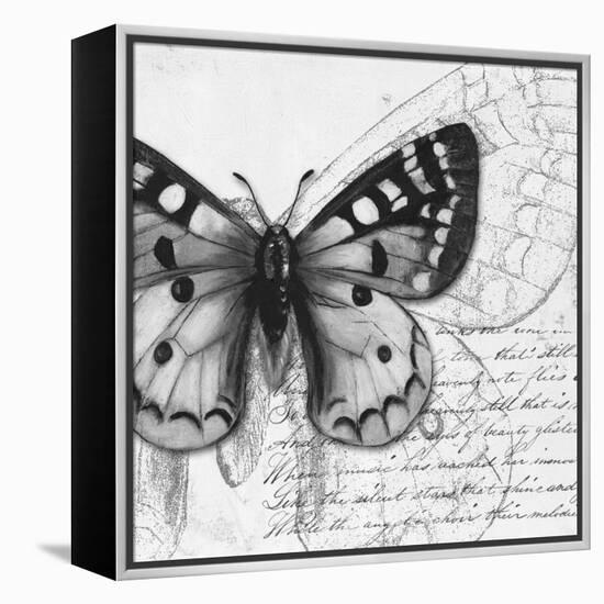 Butterfly Studies I-Patricia Pinto-Framed Stretched Canvas