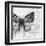 Butterfly Studies I-Patricia Pinto-Framed Art Print