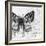 Butterfly Studies I-Patricia Pinto-Framed Art Print