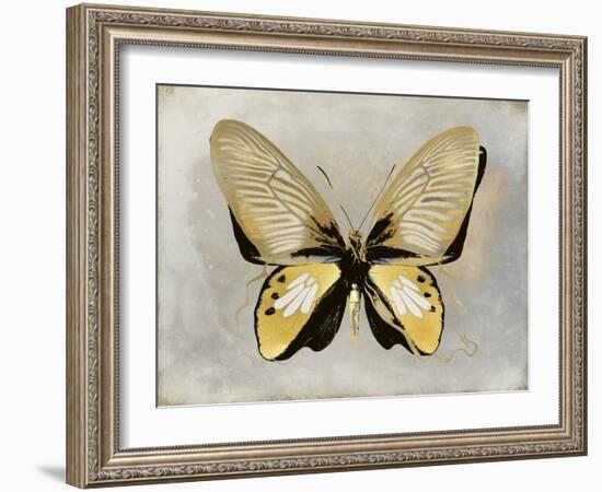 Butterfly Study I-Julia Bosco-Framed Art Print