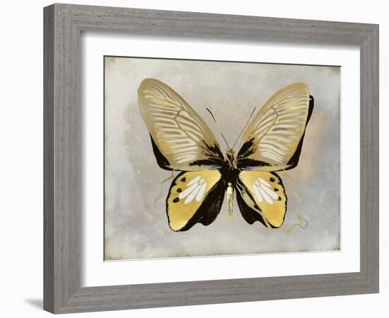 Butterfly Study I-Julia Bosco-Framed Art Print