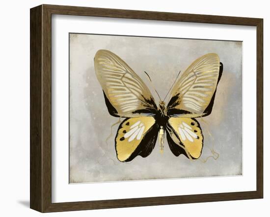 Butterfly Study I-Julia Bosco-Framed Art Print