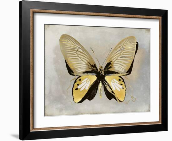 Butterfly Study I-Julia Bosco-Framed Art Print