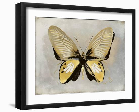 Butterfly Study I-Julia Bosco-Framed Art Print