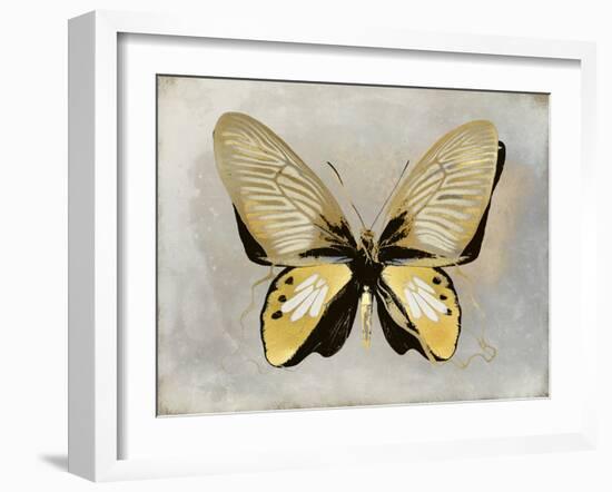 Butterfly Study I-Julia Bosco-Framed Art Print