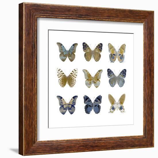 Butterfly Study I-Julia Bosco-Framed Art Print