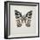 Butterfly Study II-Melissa Wang-Framed Art Print