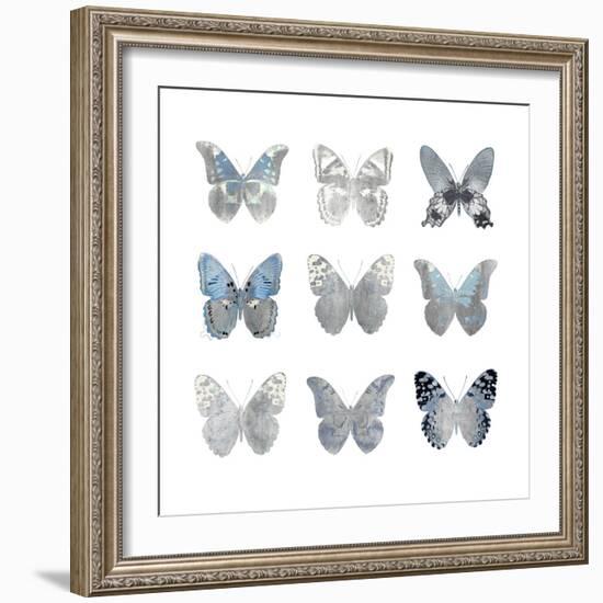 Butterfly Study II-Julia Bosco-Framed Art Print