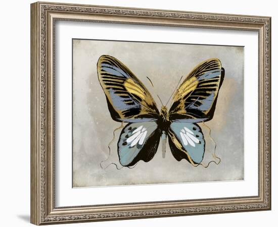 Butterfly Study II-Julia Bosco-Framed Art Print