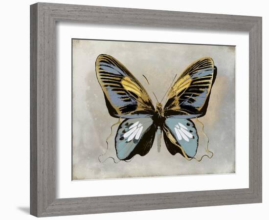Butterfly Study II-Julia Bosco-Framed Art Print