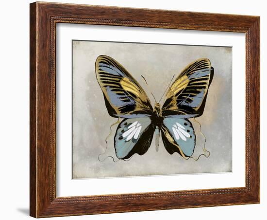 Butterfly Study II-Julia Bosco-Framed Art Print