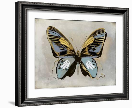 Butterfly Study II-Julia Bosco-Framed Art Print