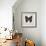 Butterfly Study III-Melissa Wang-Framed Art Print displayed on a wall